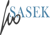 Ivo Sasek | it.ivo-sasek.ch Logo